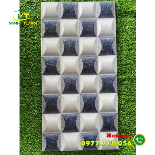 Gạch trang trí 25x50 04