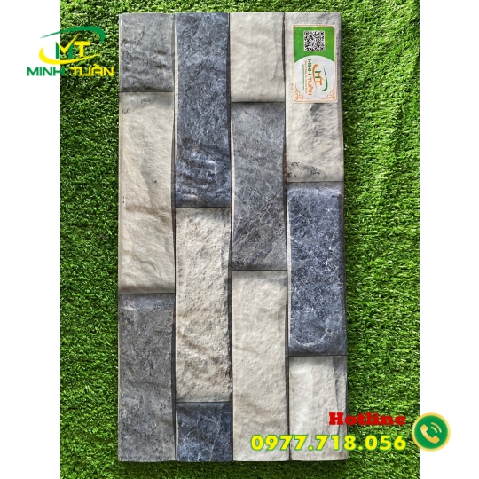 Gạch trang trí 25x50 HPD250111