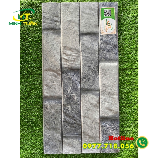 Gạch trang trí 25x50 HPD250113