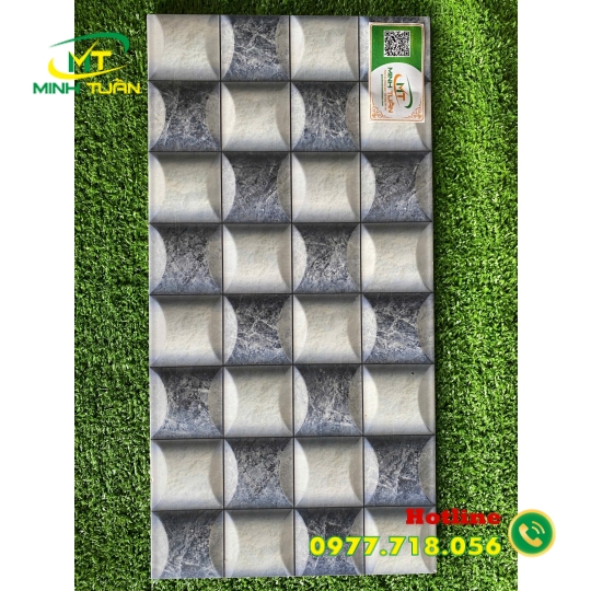 Gạch trang trí 25x50 HPD250320