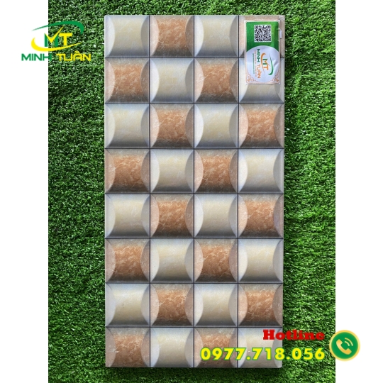 Gạch trang trí 25x50 HPD250321