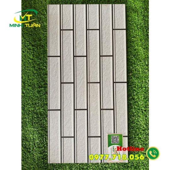 Gạch trang trí 25x50 NK25504