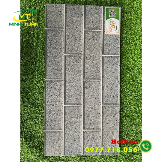 Gạch trang trí 25x50 TTP25203
