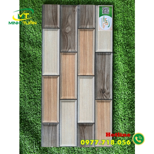 Gạch trang trí 25x50 TTP25276