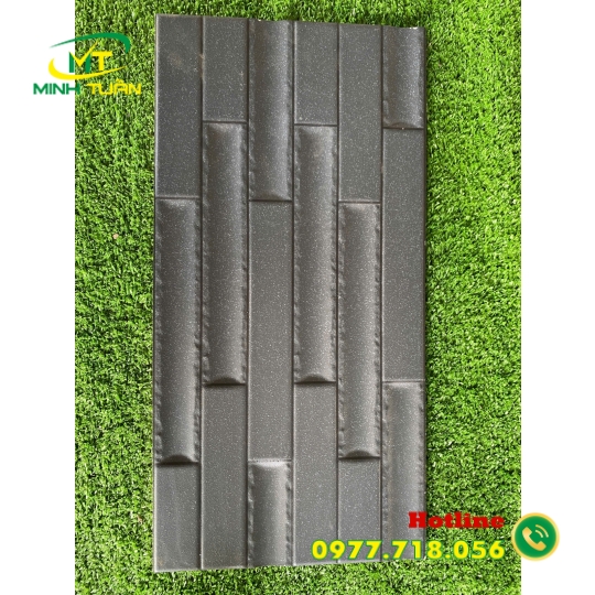 Gạch trang trí 25x50 VN8905
