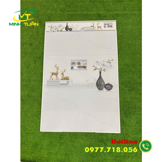 Gạch 30x60 CA368366