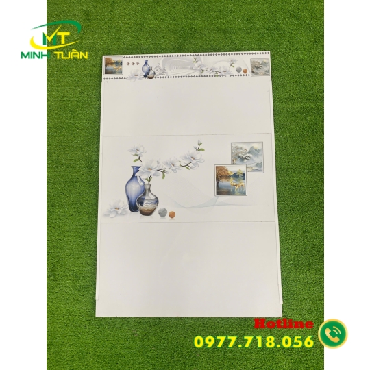 Gạch 30x60 THPWA13600