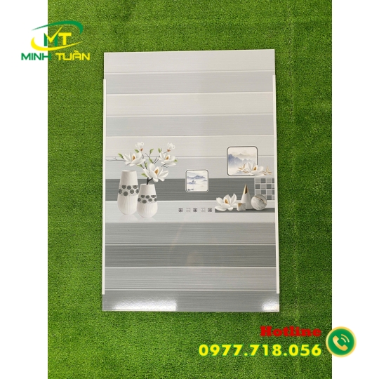 Gạch 30x60 THPWSGC3609