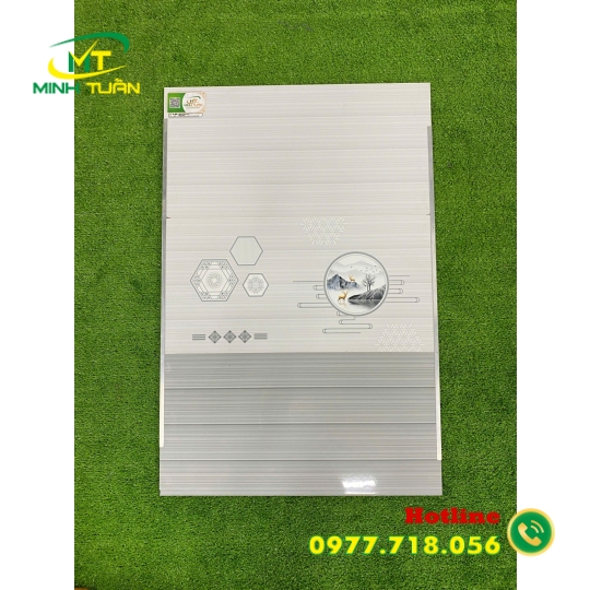 Gạch 30x60 TMLF36413