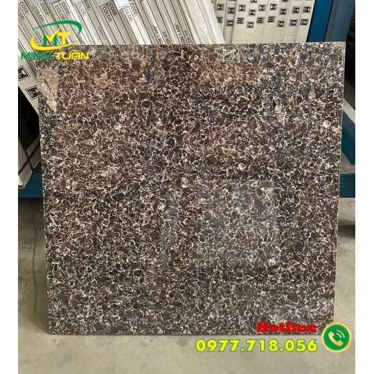 Gạch 60x60 Đá đồng chất 13