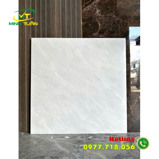 Gạch 60x60 Tk56901