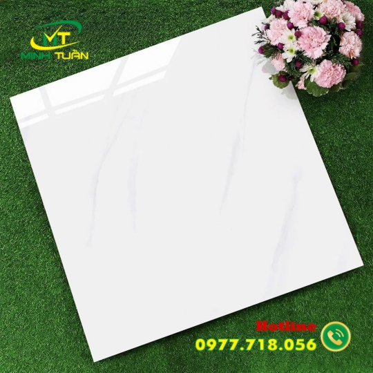 Gạch 60x60 TK6694