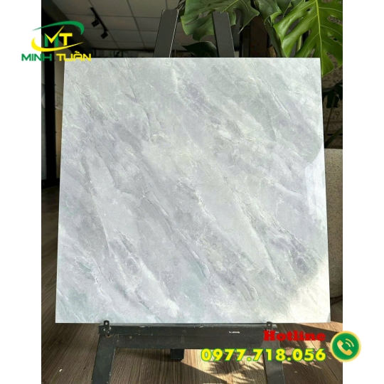 Gạch 60x60 TK151S3