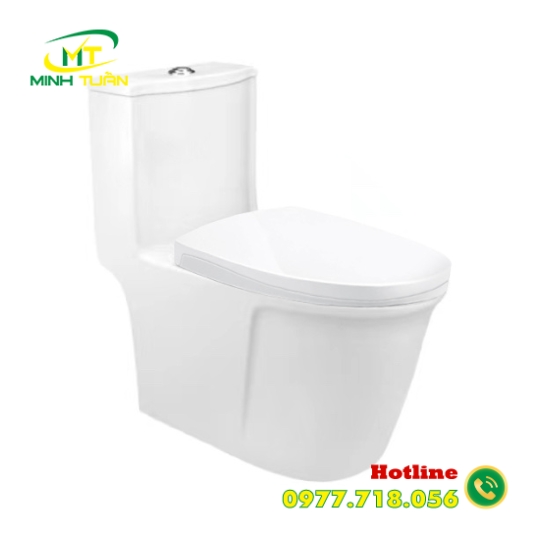 Bồn cầu liền khối DK - C2419