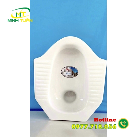 Cầu xỏm ML