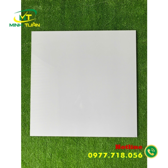 Gạch đá bóng kính 60x60 NB6600