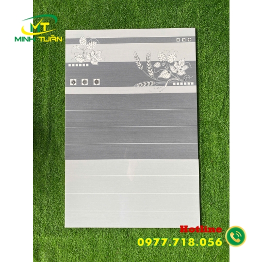 Gạch ốp tường 30X60 HK3072