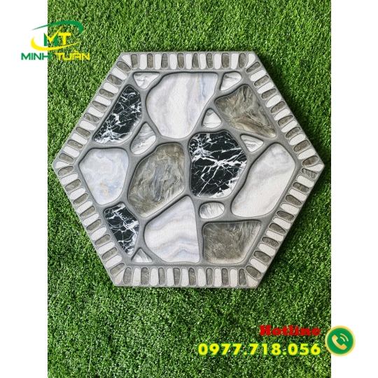Gạch Lục giác CA9311