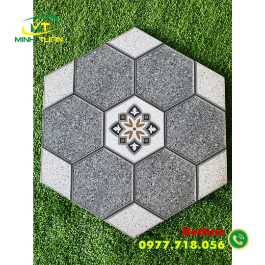 Gạch Lục giác CA9319