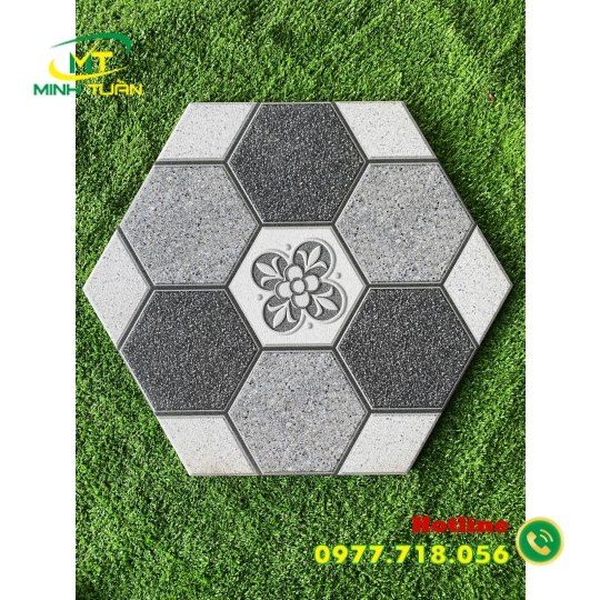 Gạch Lục giác CA9920