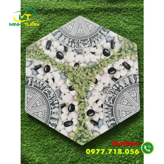 Lục giác TTT1665