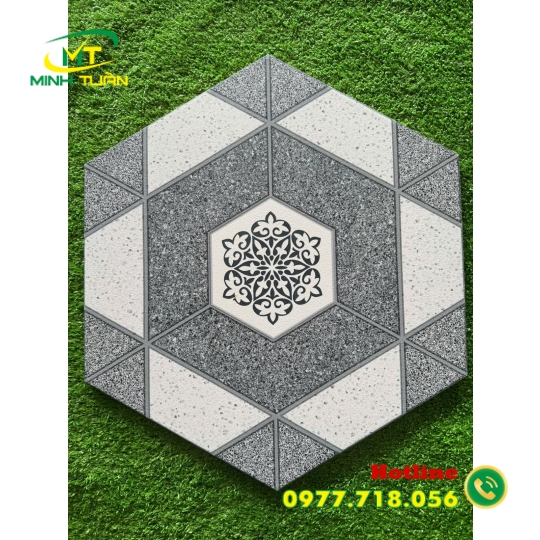 Lục giác TTT1667