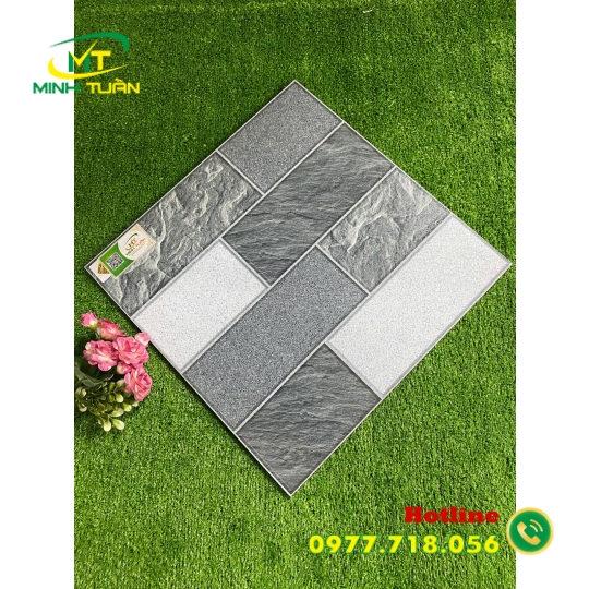 Gạch 50x50 SBBHP5511