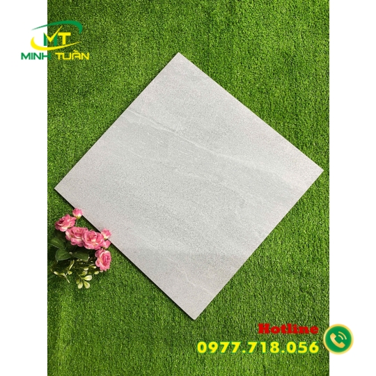 Gạch 50x50 SBBML5511