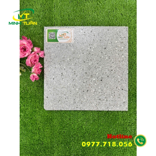 Gạch lát 30x30 SKD3049
