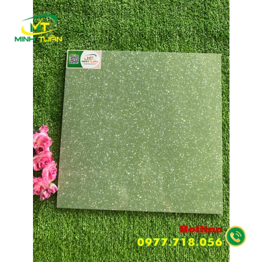 Gạch 40x40 TPN415
