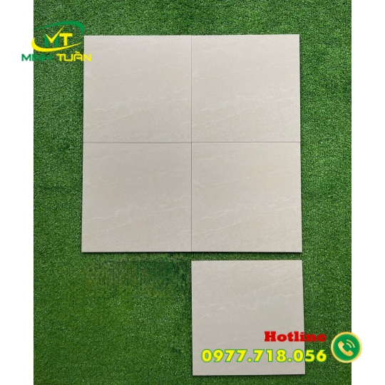 Gạch 30x30 3HG010