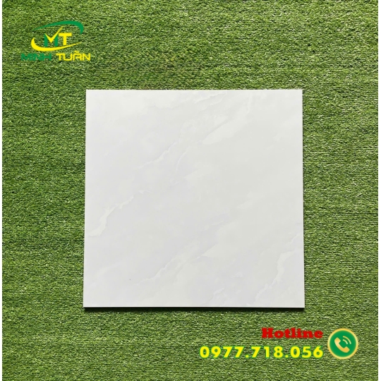 Gạch 50x50 6KS5155