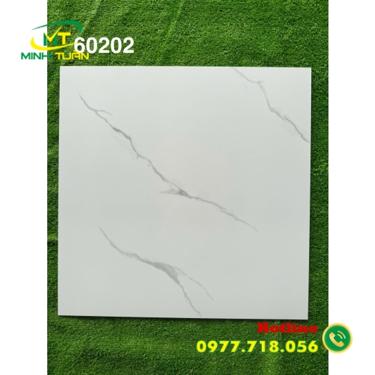 Gạch đá bóng kính 60x60 MT60202