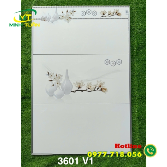 Gạch ốp tường 30x60 MT3601